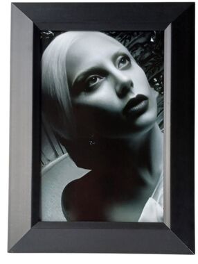 Lady Gaga American Horror Story Ahs Countess Vampires Goth Gothic Tv Framed Art